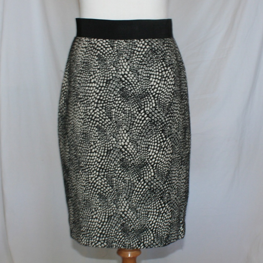 Ann Taylor Skirt 2